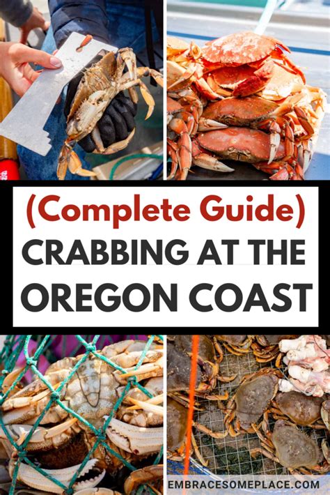 5 Best Crabbing Spots At The Oregon Coast Crabbing Guide