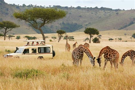 5 Best Destinations For A Safari Holiday