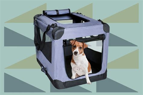 5 Best Dog Travel Crates For Long Trips Top Dog Tips