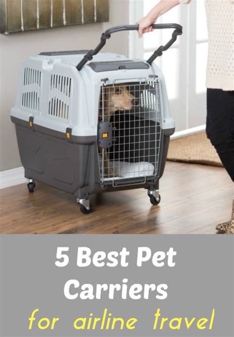 5 Best Pet Carriers And Tips For Safer Airline Cargo Flights Pet