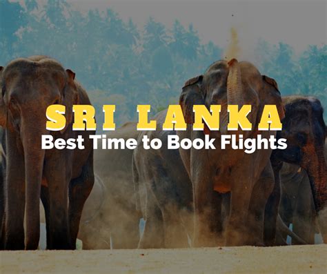 5 Best Times To Book Flights To Sri Lanka Globelink Blog