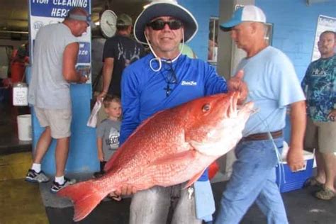 5 Best Types Of Fish In Destin To Catch And Eat