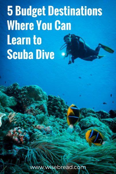 5 Budget Destinations Where You Can Learn To Scuba Dive