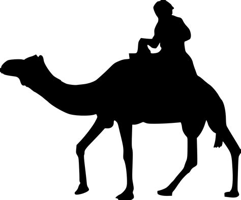 5 Camel Rider Silhouette Png Transparent Onlygfx Com