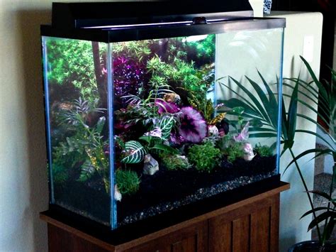 5 Cara Sulap Aquarium Bekas Jadi Terrarium Dekorasi Ruangan