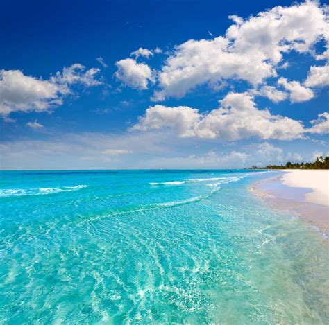 5 Clearest Water Beaches In Florida Clear Water Florida Beaches Clear Beaches