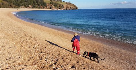 5 Dog Friendly Beaches In South Devon