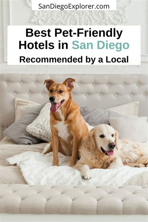 5 Dog Friendly Hotels In San Diego