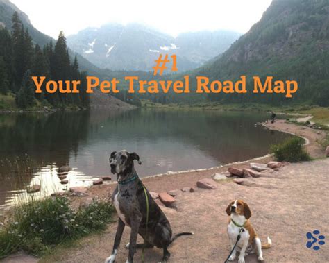 5 Essential Pet Travel Resources Petrelocation