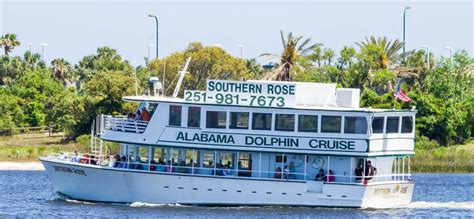 5 Highest Rated Gulf Shores Dolphin Cruises And Tours