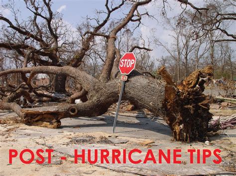 5 Hurricane Relief Tips Target Solutions Ltd