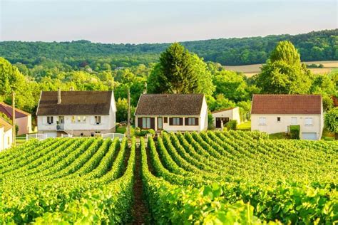 5 Insider Tips For Making The Most Out Of Your French Winery Visit