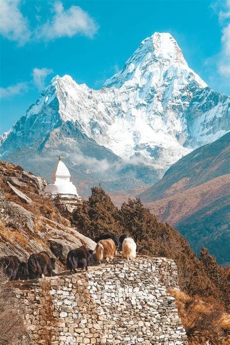 5 Must See Destinations While Visiting Nepal Hotel And Business