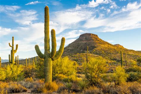 5 Must Visit Southwest Vacation Destinations