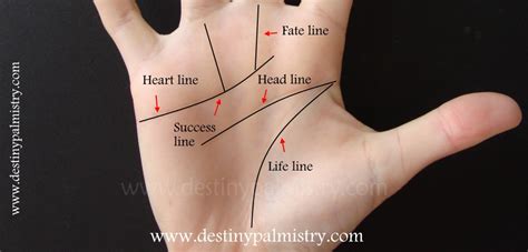 5 Palm Lines That Play A Part In Your Destiny