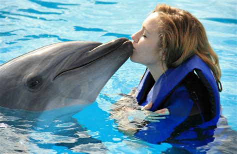 5 Places Where You Can Swim With Dolphins In Bali Fravel