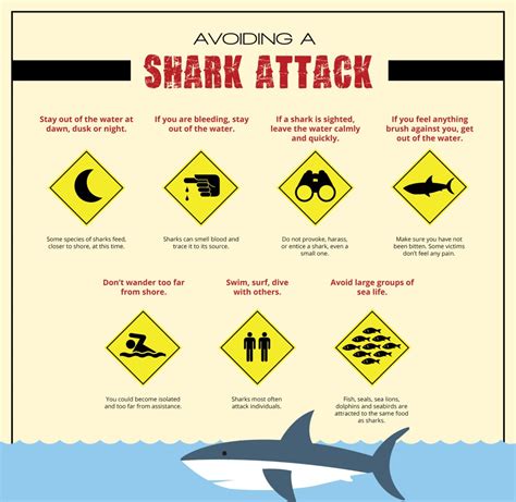 5 Shark Attack Tips Travel Guides Tips