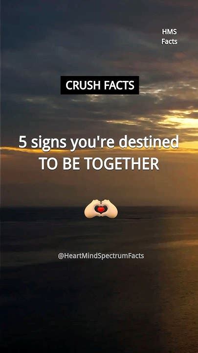 5 Signs You Re Destined To Be Together Crush Facts And Love Facts