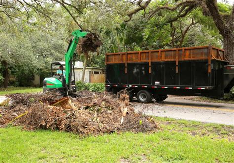 5 Star Debris Removal Updated January 2025 29 Photos Cleveland