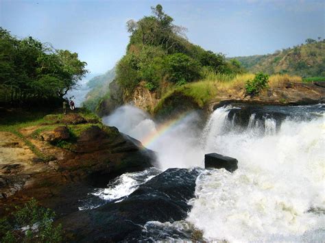 5 Top Uganda National Parks To Visit On Your Birthday Trek Africa