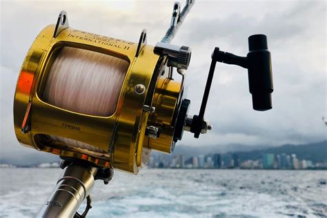 5 Types Of Fishing Reels Explained Kayak Angler