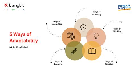 5 Ways Of Adaptability