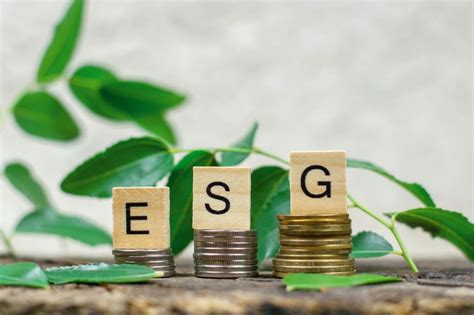 5 Ways That Esg Creates Value For Organizations