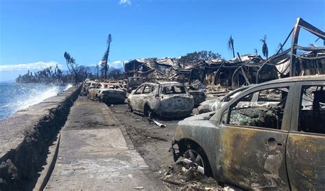 5 Ways To Help Maui After Deadly Wildfires Purewow