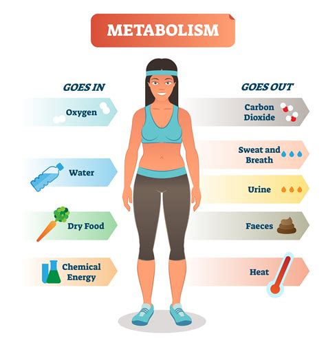 5 Ways To Kickstart Your Metabolism How To Boost Your Energy Closer