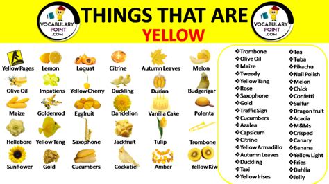 500 Best Things That Are Yellow Vocabulary Point