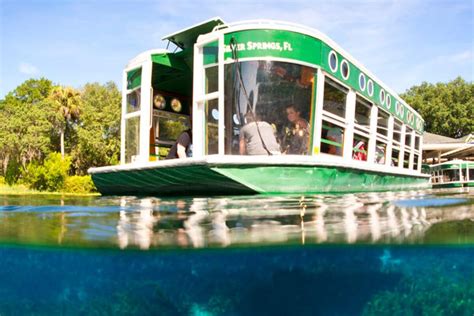 6 Best Glass Bottom Boat Tours In Florida Authentic Florida