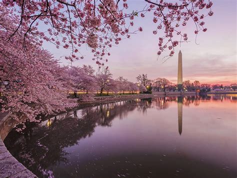 6 Of America S Most Beautiful Places To Visit In The Spring Scott