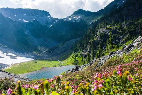 6 Of The Most Gorgeous Spring Destinations In The U S