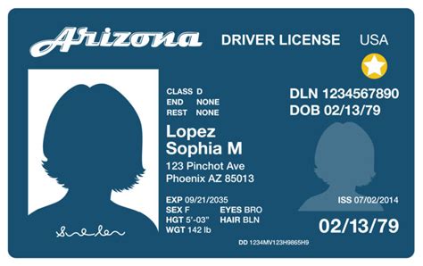 6 Simple Steps To Obtain An Arizona Travel Id Lareme Fessler