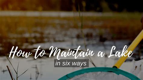 6 Ways To Maintain A Lake