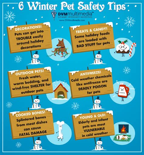 6 Winter Pet Safety Tips Las Vegas Veterinary Specialty Center Las Vegas Veterinary Specialty