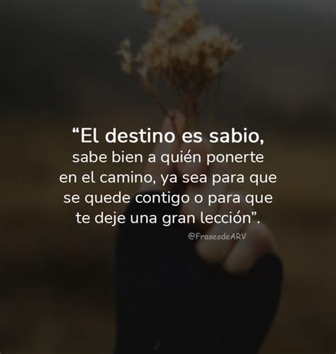 60 Frases Del Destino Para Reflexionar Y Forjar Tu Propio Camino