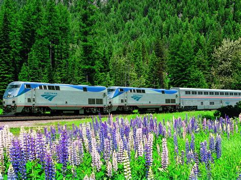 7 Amtrak Routes For Seeing National Parks Without A Car