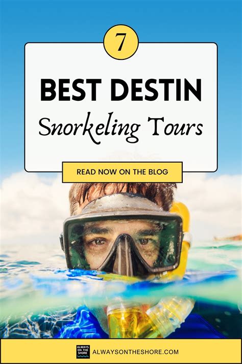 7 Best Destin Snorkeling Tours In 2024 Always On The Shore