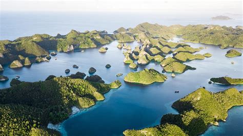 7 Best Raja Ampat Dive Sites