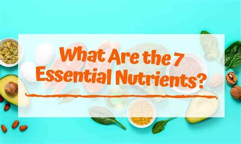 7 Essential Nutrients You Need To Add To Your Diet Ps Health Tips