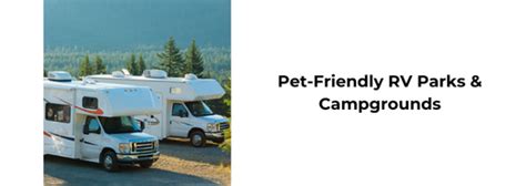 7 Pet Friendly Rv Parks For Winter 2025 Getaways Waggle