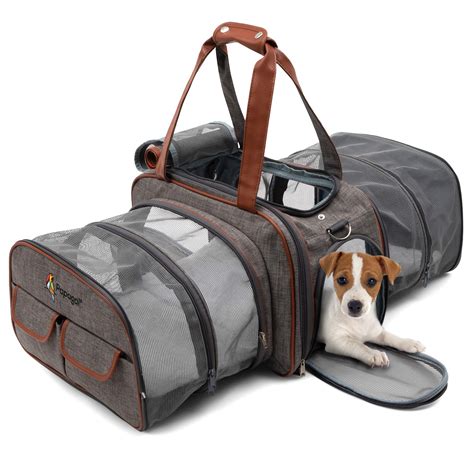 7 Popular Pet Carriers For Traveling With Your Dog