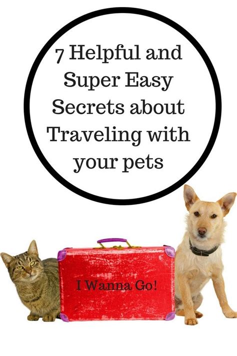 7 Popular Tips For Traveling With Dogs House That Barks