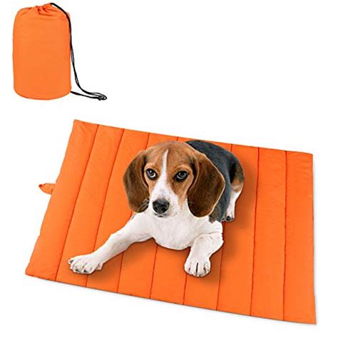 8 Best Travel Dog Beds Portable Dog Beds For Traveling