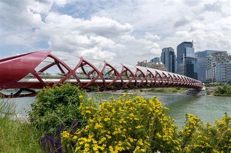 8 Of The Best Things To Do In Calgary In Summer Alberta Travel