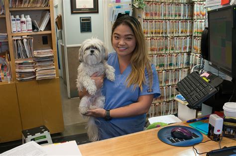 9 Best Of The Best Vets In San Francisco Fauna Care