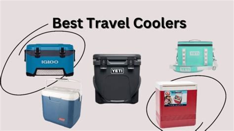 9 Best Travel Coolers Ice Packs For Trips