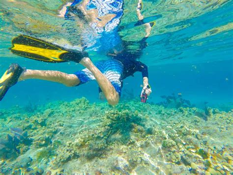 9 Places For The Best Snorkeling In The Florida Keys Florida Trippers