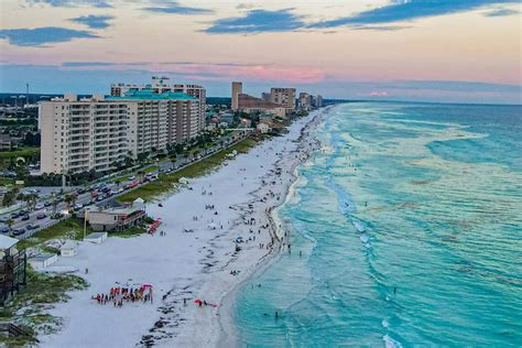 A Bear Just Joined Beachgoers For A Swim In This Popular Florida Town